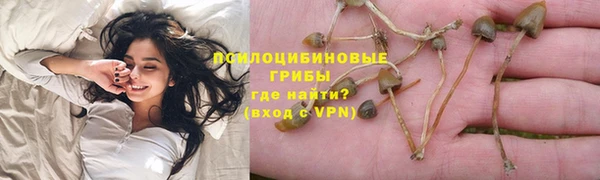 крисы Аркадак