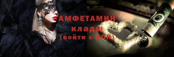 гидра Каменногорск