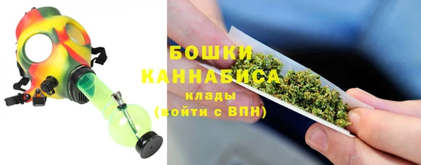 крисы Аркадак