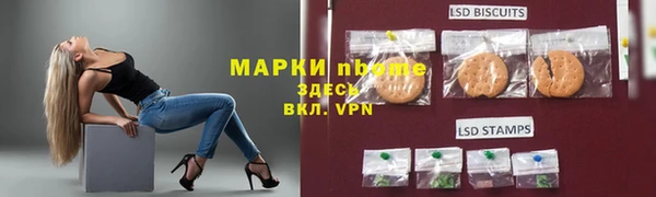 хмурый Арсеньев