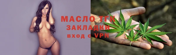 хмурый Арсеньев