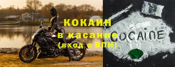 крисы Аркадак