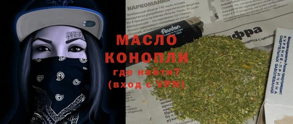 хмурый Арсеньев