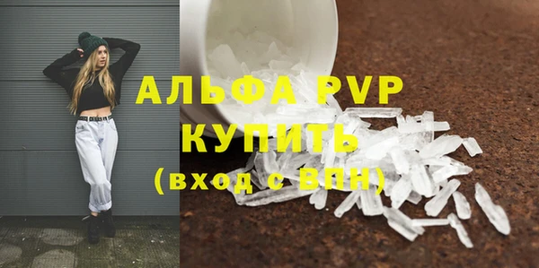 крисы Аркадак