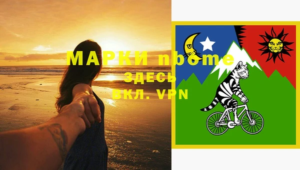 хмурый Арсеньев