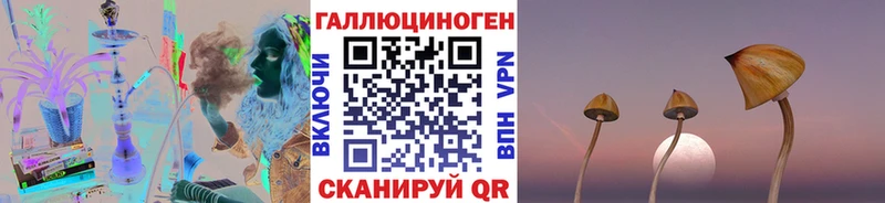 KRAKEN маркетплейс Малмыж Псилоцибиновые грибы мицелий